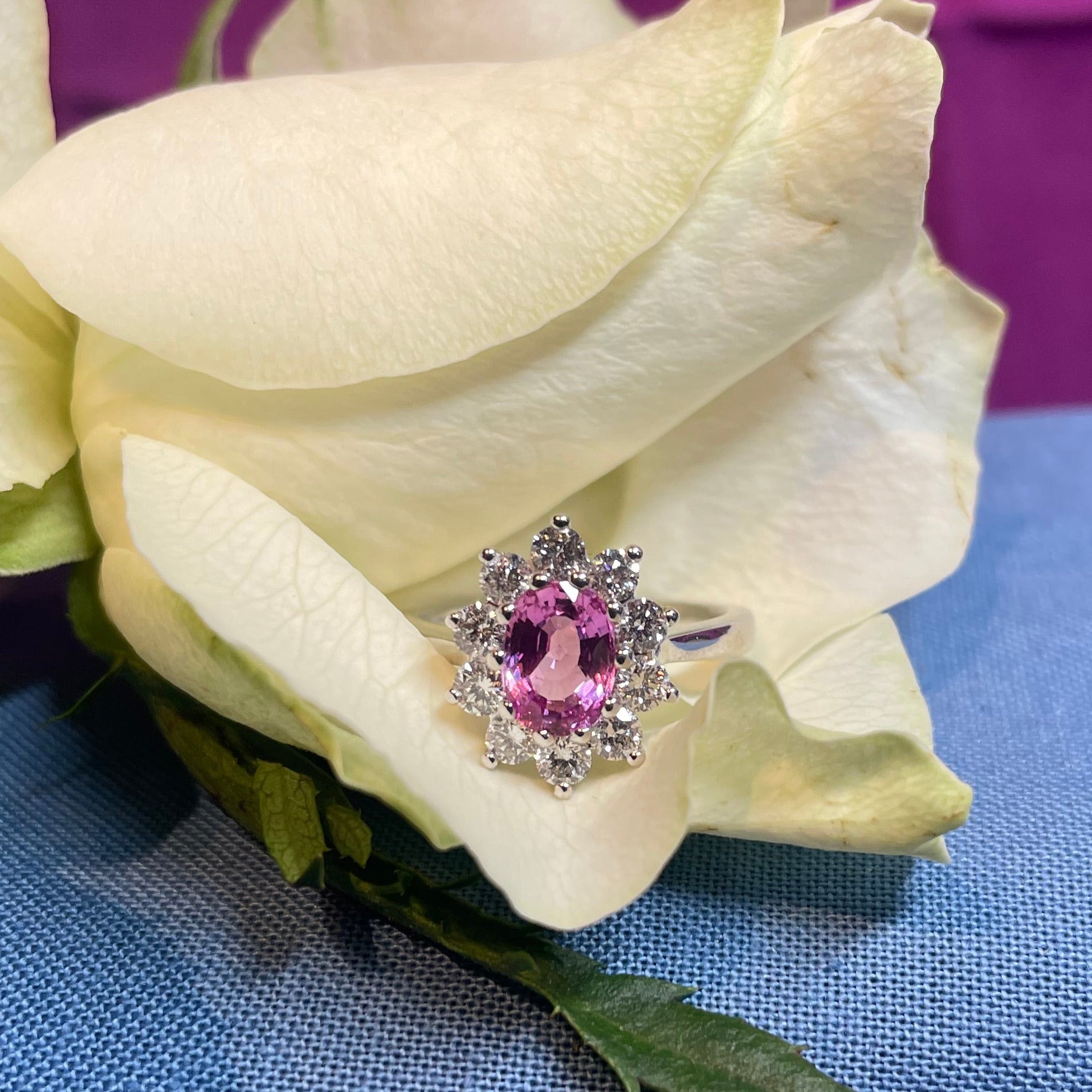 Pink sapphire halo cluster ring in 18 ct white gold from Little Shambles Jewellers, photographed on a cream rose